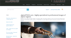 Desktop Screenshot of alpinestock.com